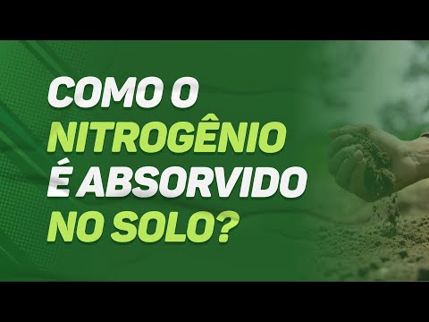 Como o NITROGÊNIO é ABSORVIDO no SOLO?