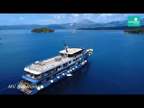 Cruise video 1