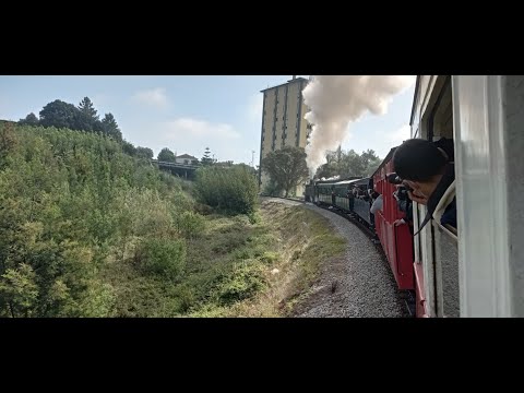 Especial n°20801, comboio histórico do vouga