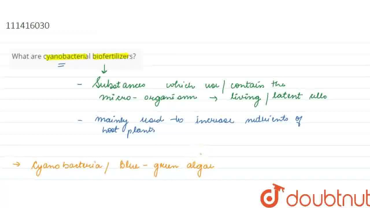 What are cyanobacterial biofertilizers?  | CLASS 12 | ANSWER IN ONE SENTENCE | BIOLOGY | Doubtnu...