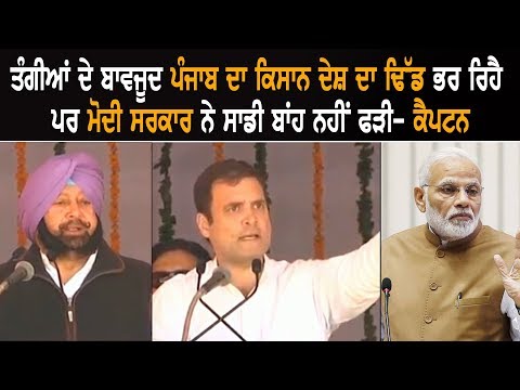 Farmer of Punjab Feeds the Nation Despite His Own Difficulties: Captain Amarinder