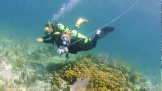 Using a Float & Flag