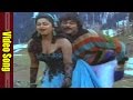 Nallanchu Tella Cheera Video Song Donga Mogudu Movie Chiranjeevi Radhika
