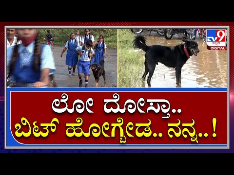 ಶಾಲೆಗೆ ಹೊರಟ ಗೆಳೆಯನ ಬೆನ್ನು ಬಿದ್ದ ಶ್ವಾನ |Student And Dog Friendship|TV9 Kannada
