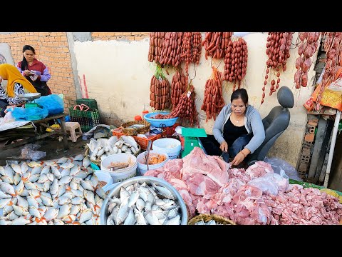 Ever Seen Khmer Fish Market, Lobsters & Seafood - Daily People Activities & Food Scenes
