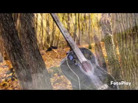 Dòng tình - Tố Mai