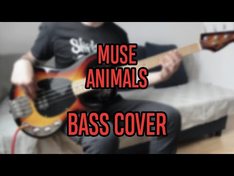 Muse – Animals BASS COVER