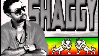 Shaggy - Walking In My Shoes