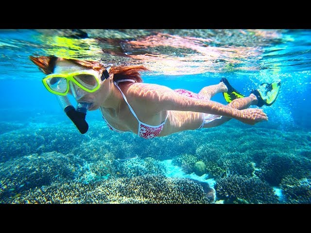 Best Maui Snorkeling