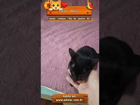 Vídeo de Pérola Negra