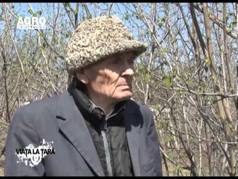 REPORTAJ VIDEO - Viata la tara printre aluni