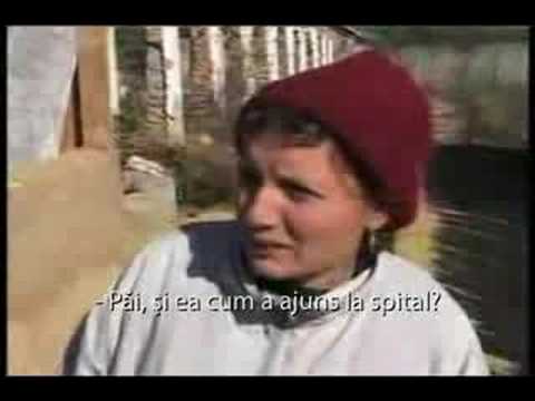 reportaj vasluian - mori de ras