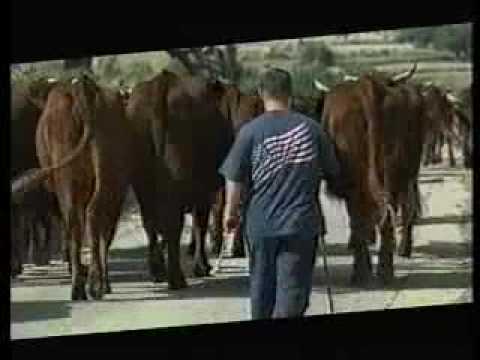 Il caciocavallo ragusano