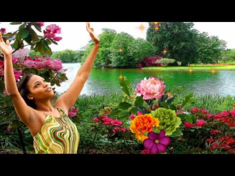 Dubrovački Trubaduri - Najljepši si cvijet u vrtu punom ruža