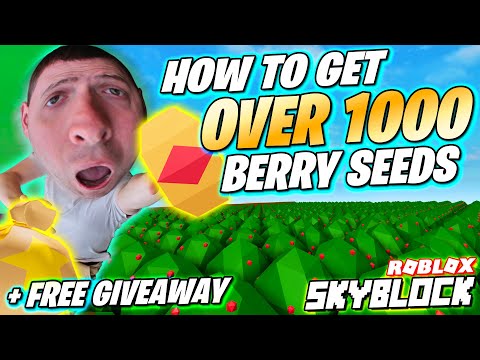 Steam Faellesskab Video Roblox Skyblock How To Get Berry Seeds Fast Over 1000 Berry Bushes Legit Free Seeds Giveaway O - codes for sky block roblox