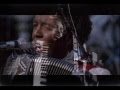 Clifton Chenier ---- Cotton Picker Blues 