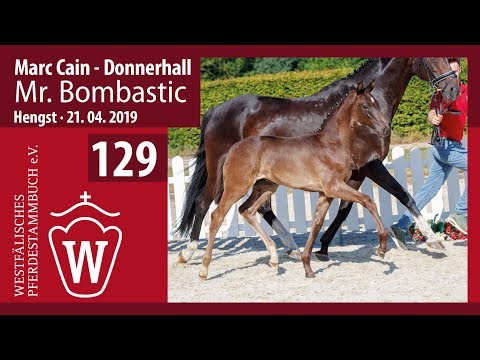 129 Mr. Bombastic Hengst v. Marc Cain - Donnerhall
