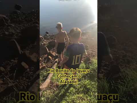 Alagado em Rio Bonito do Iguaçu | Mathias e amigos 🐟🐠 #rios #crianças #lugares
