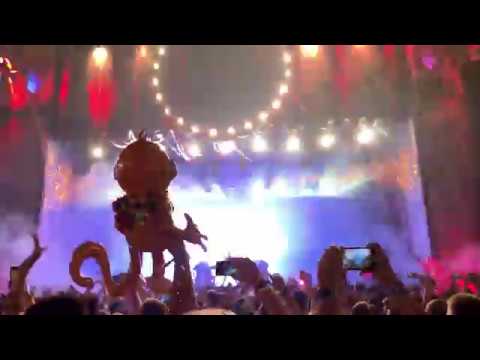 Martin Garrix @ New Horizons 2019 (playing Animals)