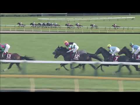 2019 Meguro Kinen (G2)