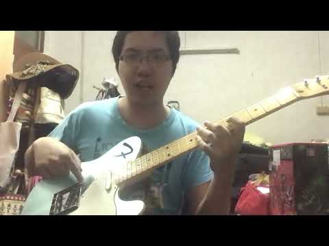 (Limited) Fender Japan 2021 Limited Edition F Hole Telecaster Thinline image 26