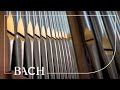 Bach - Jesus Christus, unser Heiland BWV 688 - Smits | Netherlands Bach Society
