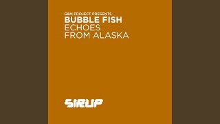 Echoes From Alaska (Original Mix)