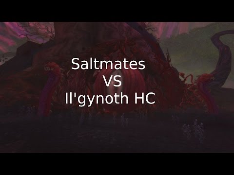 Saltmates VS Il'gynoth HC (Warri Tank & MM Hunter POV)