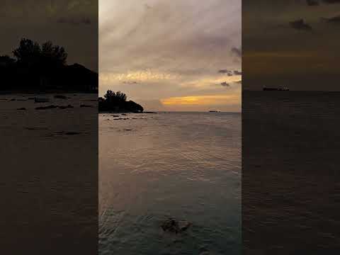 First video