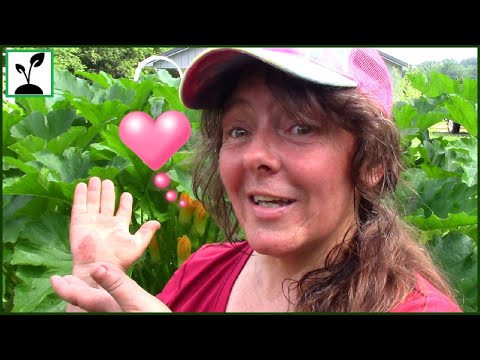Never TOO LATE For Fall Squash | Planting Butternut Squash