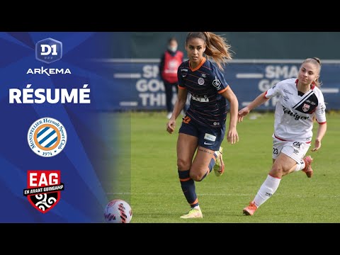 J17 : Montpellier HSC - EA Guingamp (6-0)