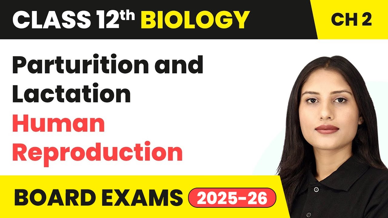 Parturition and Lactation - Human Reproduction | Class 12 Biology Chapter 2 | CBSE 2024-25