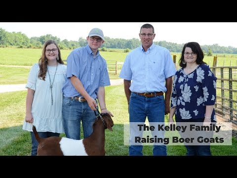What is a Boer goat and how do you raise them?