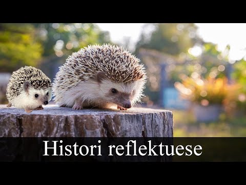 Historia qe ju ben te kuptoni njerezit! Mos e humbisni, ju vlen gjithe jeten!