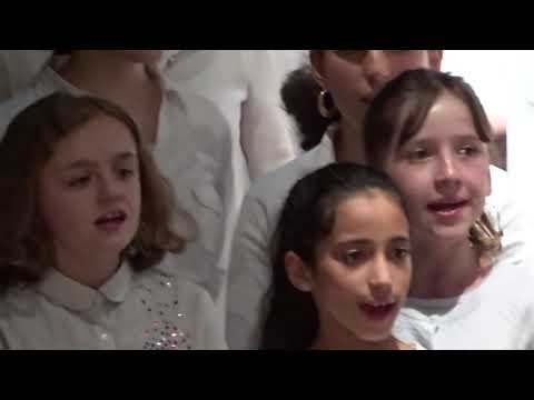 Final du concert des mandolines et guitares de Remiremont