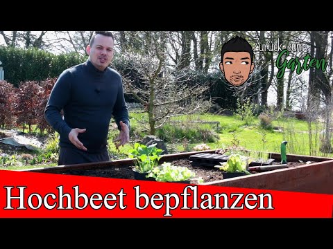 , title : 'Hochbeet bepflanzen  -5 Tipps- Mischkultur, Pflanznachbarn, Pflanzfolge, Anbautipps, Standort'