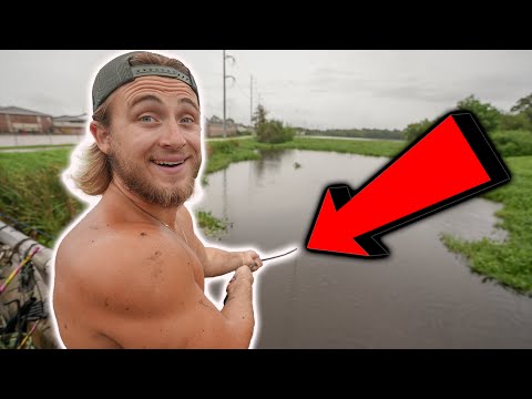 You Won't Believe What We Caught Magnet Fishing in This Swamp