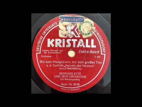 Bin kein Hauptmann, bin kein großes Tier - Bernard Etté - 1929