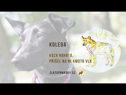 Vánoční koleda Koza rohatá