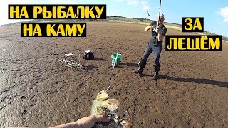 Ссылка