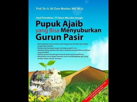 Pijat titik dengan impotensi Menjatuhkan harga palu dari torus