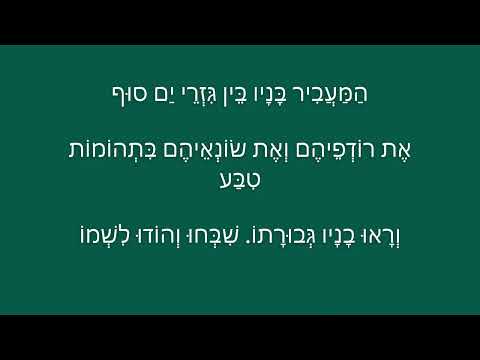 המעביר בניו בין גזרי ים סוף -ויז'ניץ- ר' קלמן שטקל.