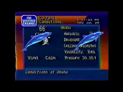 猫 シ Corp // W E A T H E R C H A N N E L ウィンディー