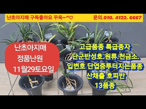 유튜브 썸네일