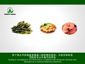 Green World Kuding Tea