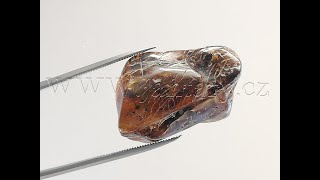 Okno do baltského jantaru PO-69