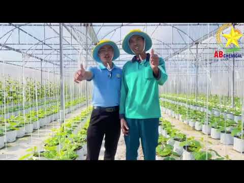 🔥🔥 AB CHEMICAL - CHẤT LƯỢNG LÀ DANH DỰ, PHỤC VỤ LÀ CAM KẾT!