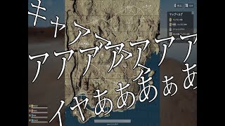 [PUBG]飛行機のなかの殺人事件