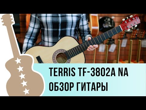 Обзор акустической гитары Terris TF-380A NA