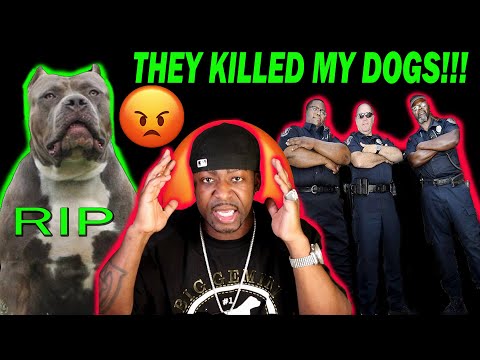 Animal Control came to my house and killed my 2 dogs!!